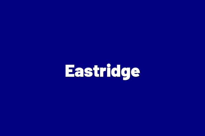 Software Services Company Eastridge