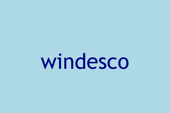 Software Development Company windesco