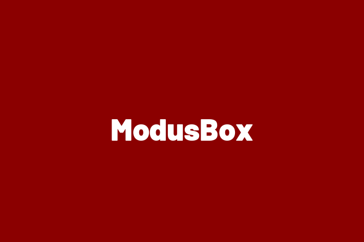 Tech Firm ModusBox