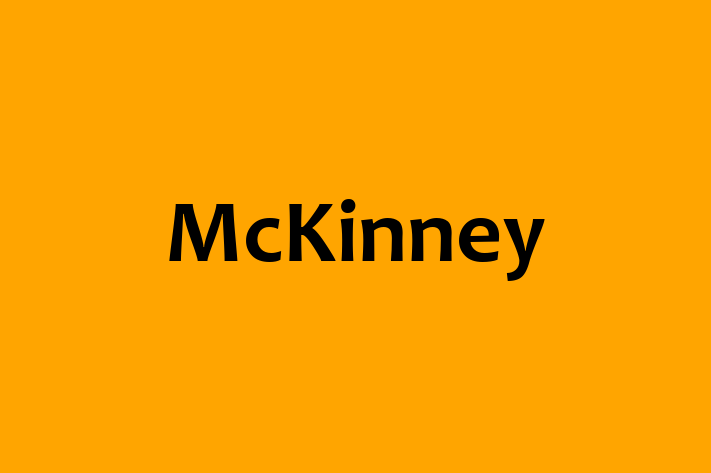 Software Development Firm McKinney