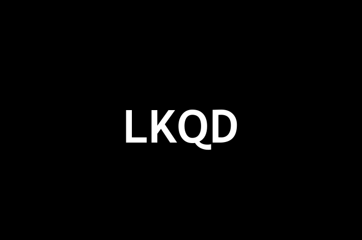 IT Company LKQD