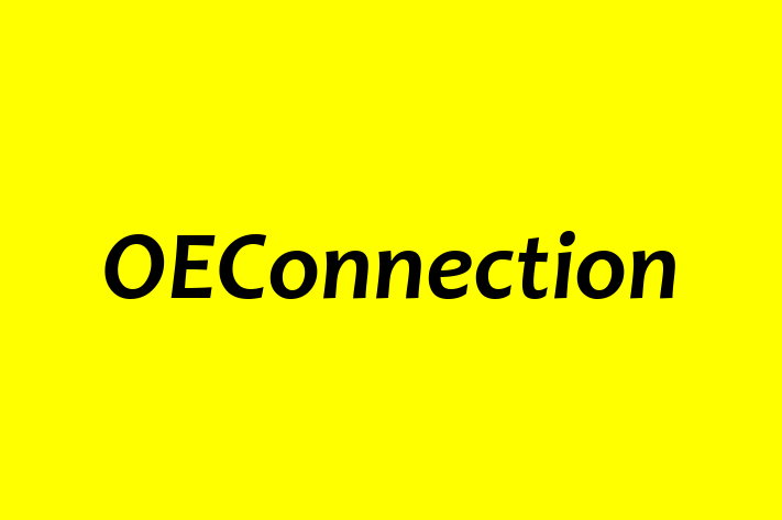 Software Engineering Company OEConnection