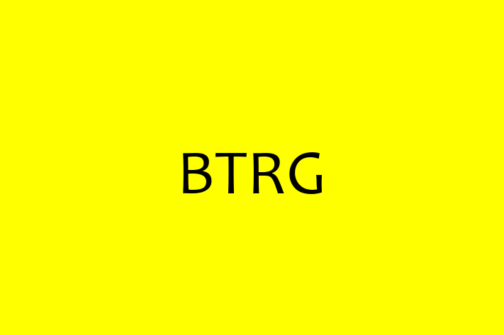 Software Engineering Company BTRG