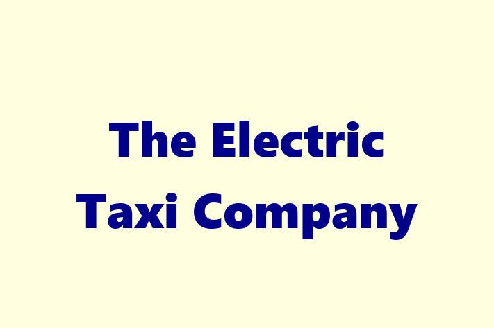 Electrical installers The Electric Taxi Company