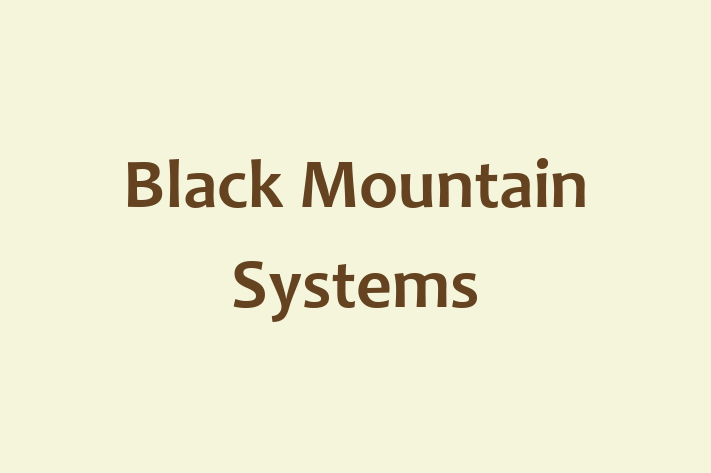 Software Services Company Black Mountain Systems