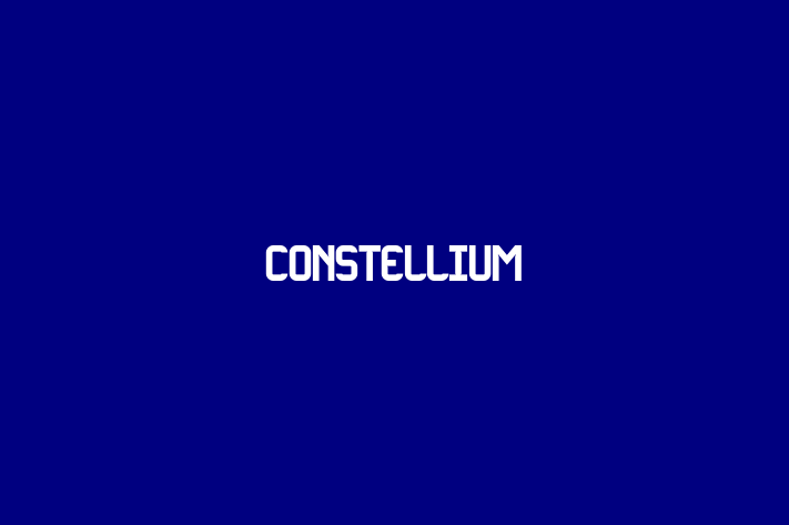 Workforce Management Constellium