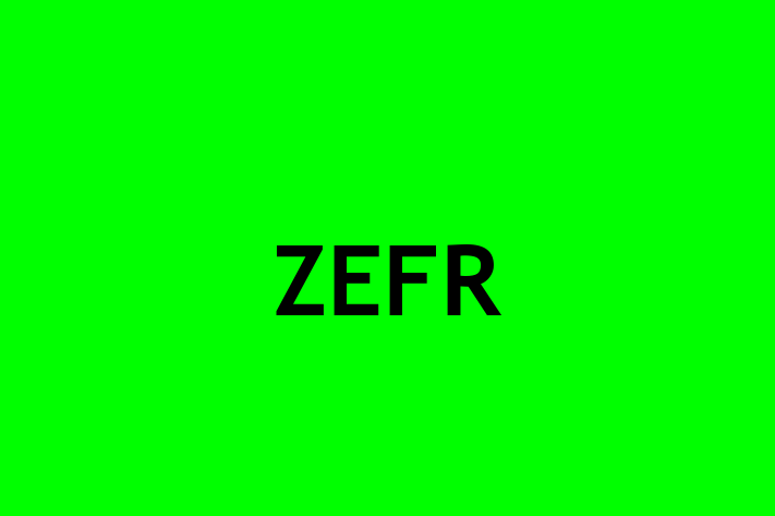 Software Development Company ZEFR