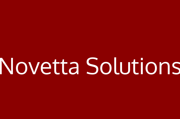 Technology Solutions Firm Novetta Solutions