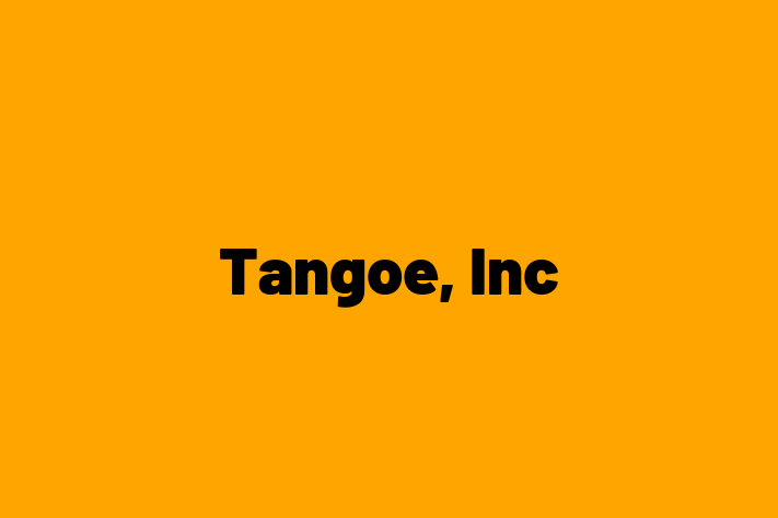 Software Development Firm Tangoe Inc