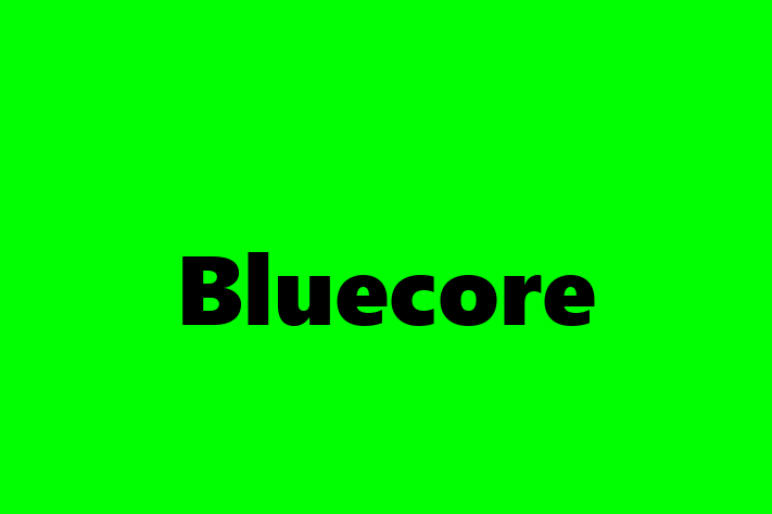 Software Solutions Provider Bluecore