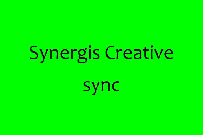 Software Development Firm Synergis Creative   sync