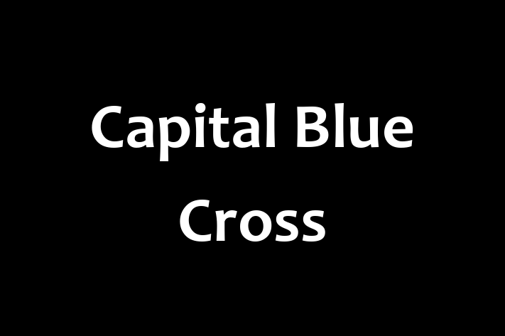 Human Resource Management Capital Blue Cross