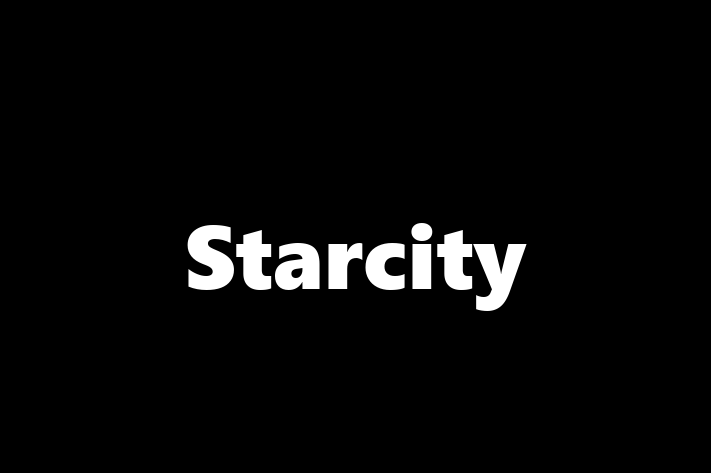 Software Development Company Starcity