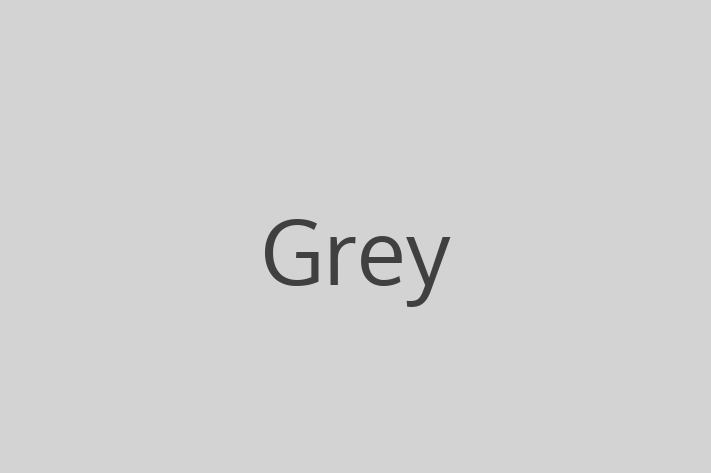 Software Firm Grey