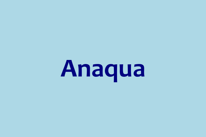 Technology Solutions Firm Anaqua