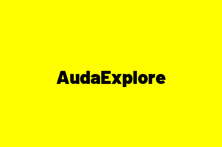 Technology Solutions Firm AudaExplore