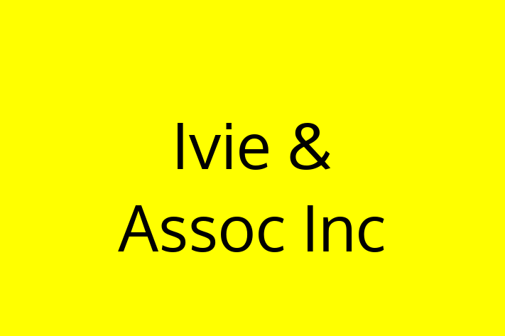 Software Development Firm Ivie  Assoc Inc