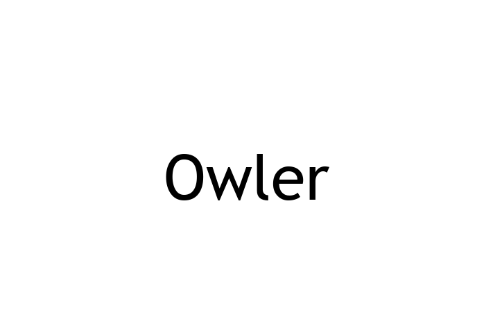 Digital Solutions Provider Owler