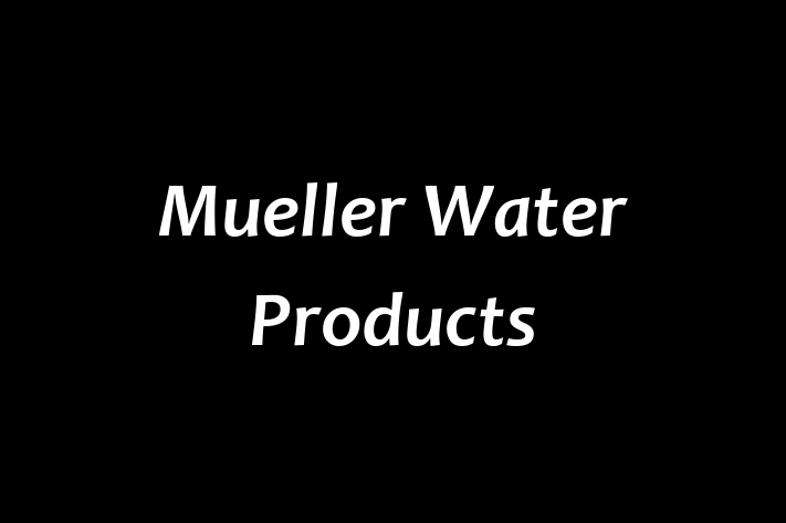 Workforce Management Mueller Water Products