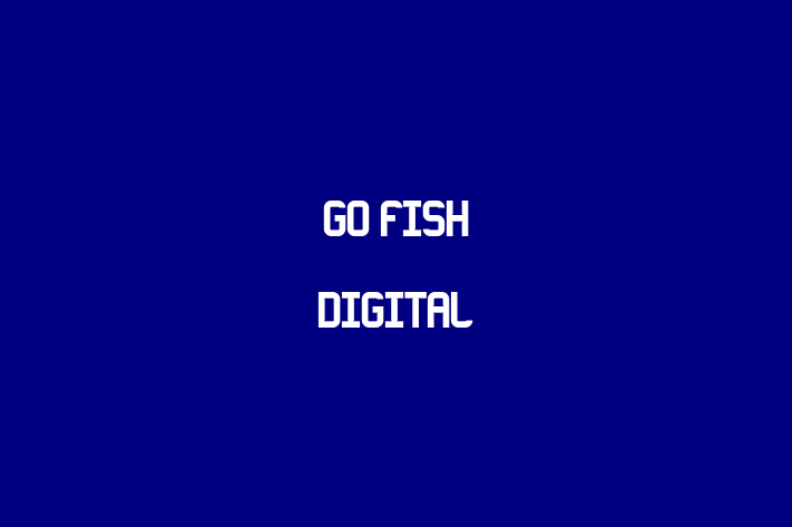 Software Consultancy Go Fish Digital