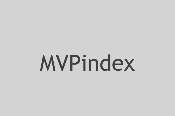 Technology Solutions Firm MVPindex