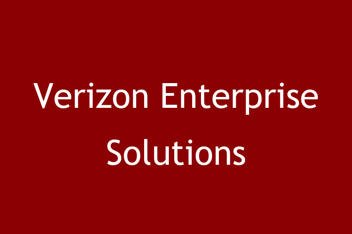 Software Development Firm Verizon Enterprise Solutions