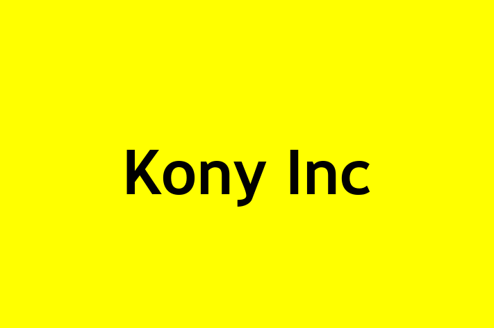 Application Development Company Kony Inc