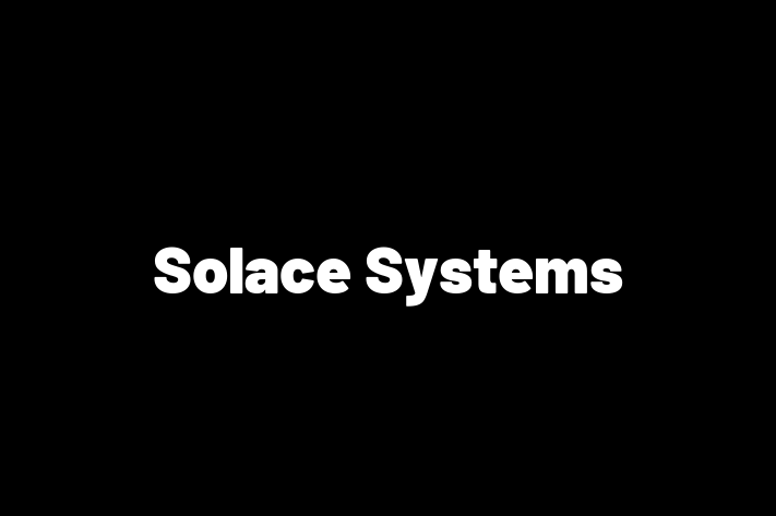 Technology Solutions Firm Solace Systems