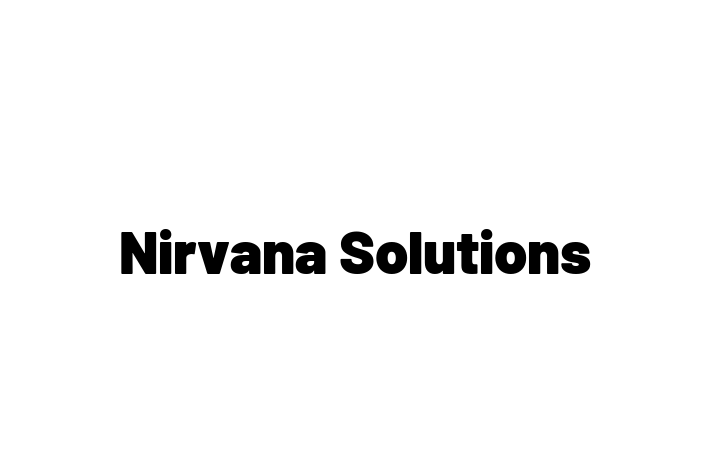 Software Services Company Nirvana Solutions