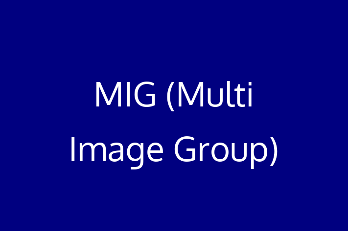 Digital Solutions Provider MIG Multi Image Group