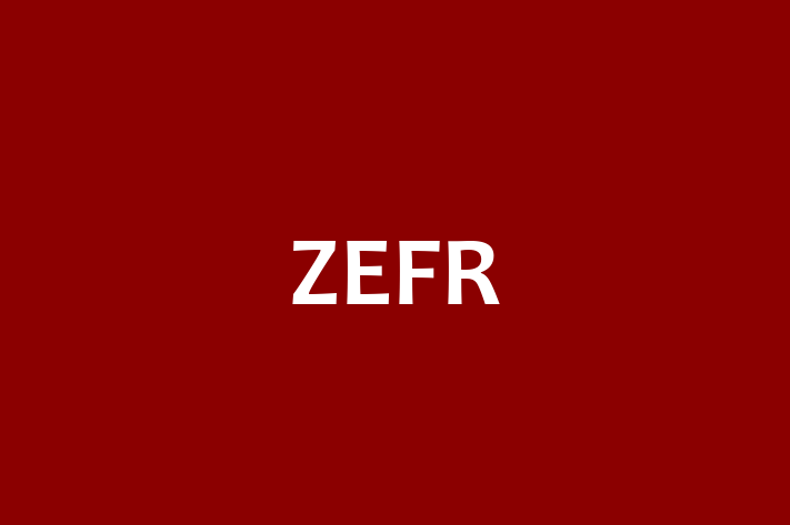 IT Company ZEFR