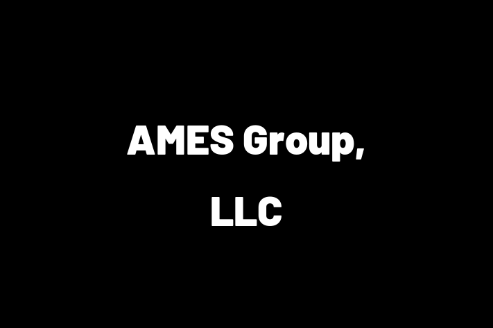 Tech Firm AMES Group LLC