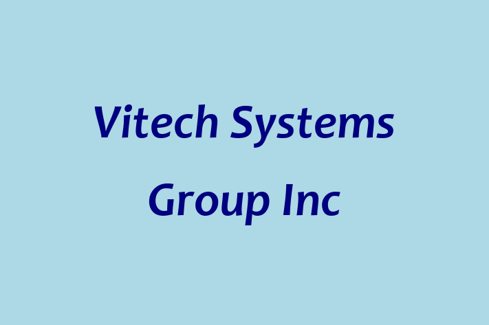 Technology Company Vitech Systems Group Inc