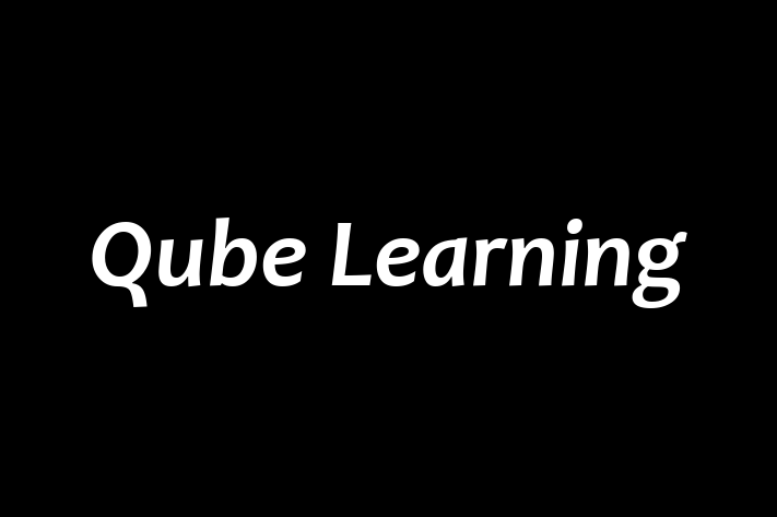 Software Services Company Qube Learning