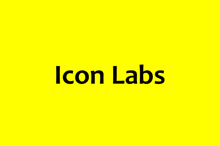 Digital Solutions Provider Icon Labs