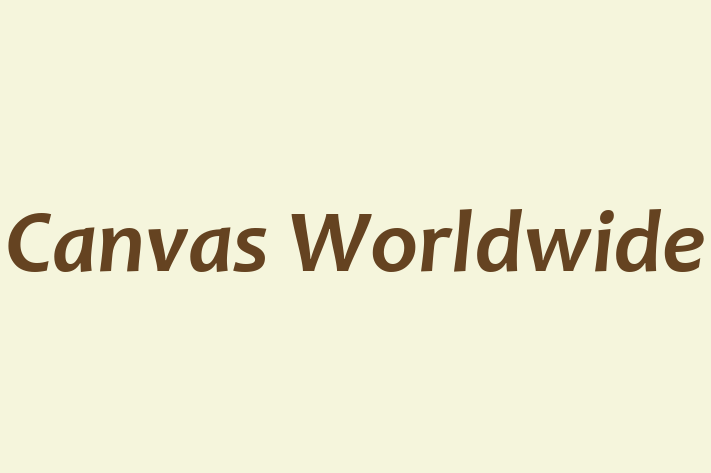 Technology Company Canvas Worldwide