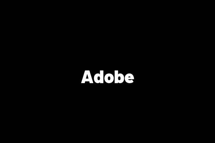 Software Solutions Provider Adobe