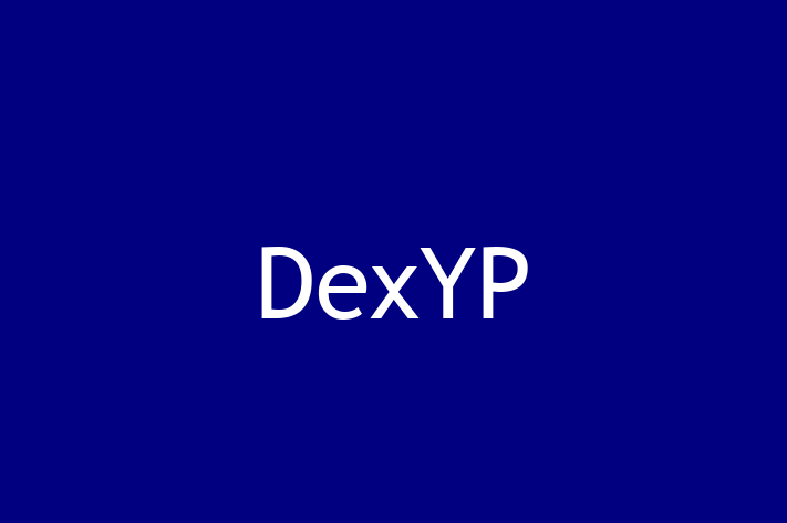 Application Development Company DexYP