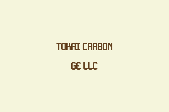 Human Capital Management Tokai Carbon GE LLC