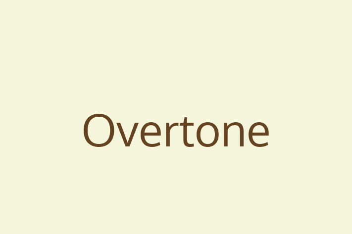 Digital Solutions Provider Overtone