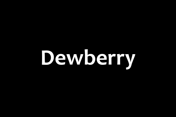 Digital Solutions Provider Dewberry