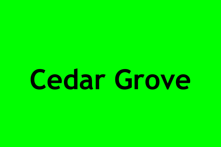 Human Capital Management Cedar Grove