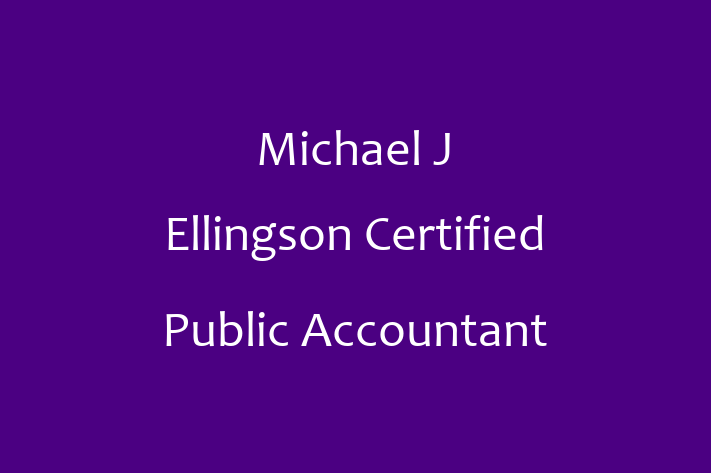 Public Accountant Michael J Ellingson Certified Public Accountant