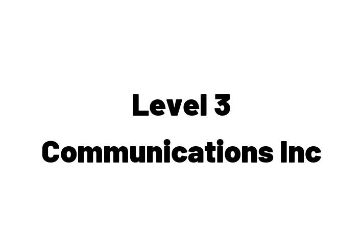 Digital Solutions Provider Level 3 Communications Inc