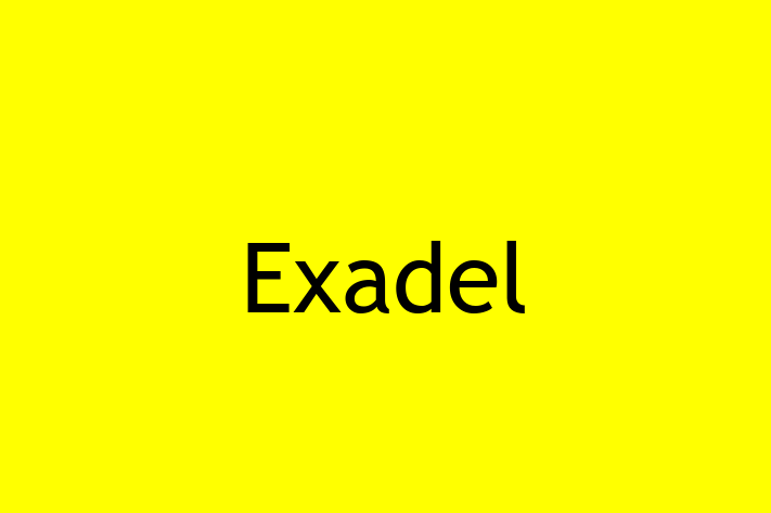 Software Firm Exadel