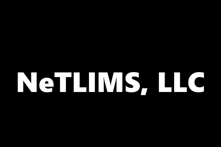 IT Company NeTLIMS LLC