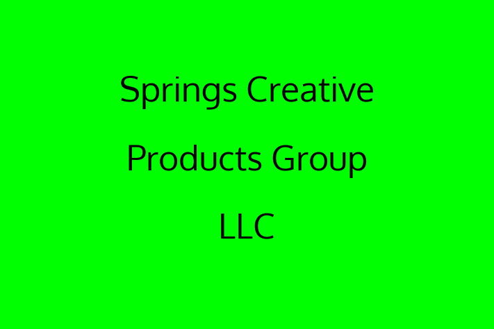 Software Consultancy Springs Creative Products Group LLC