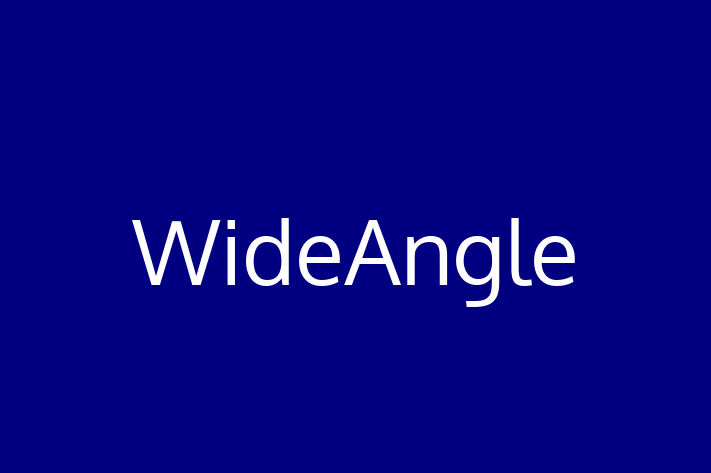 Software Development Firm WideAngle