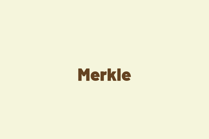 Digital Solutions Provider Merkle