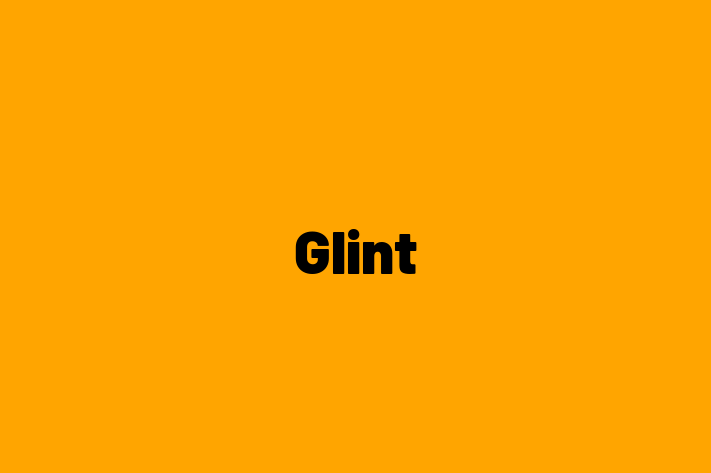 Software Development Company Glint